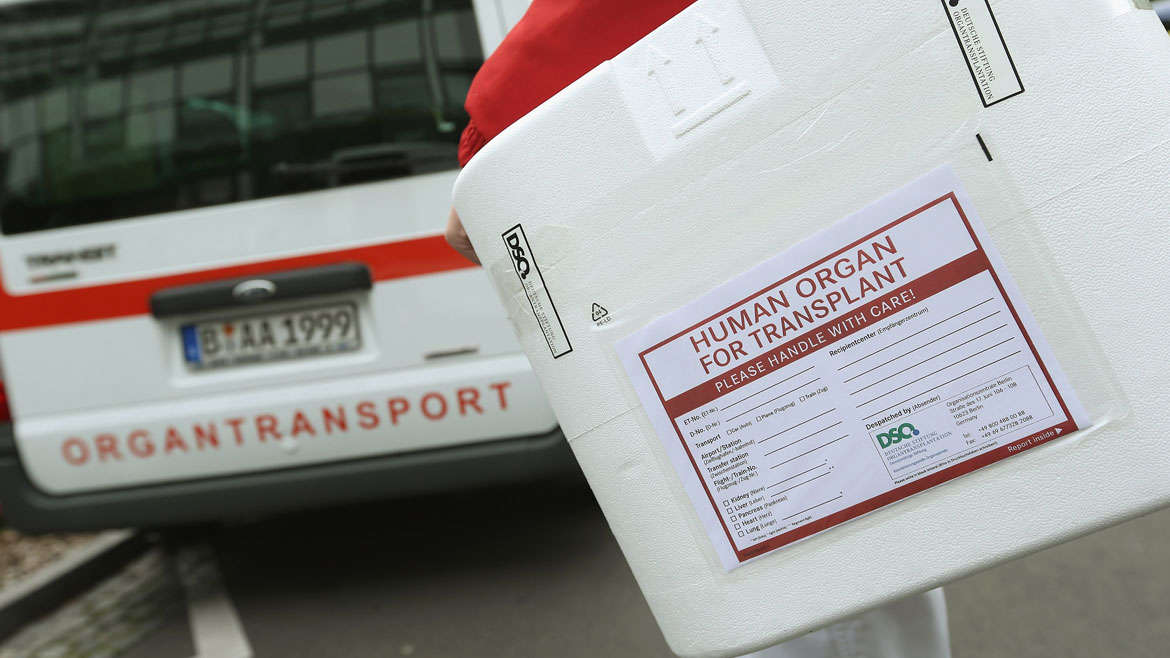 Organ Transfer